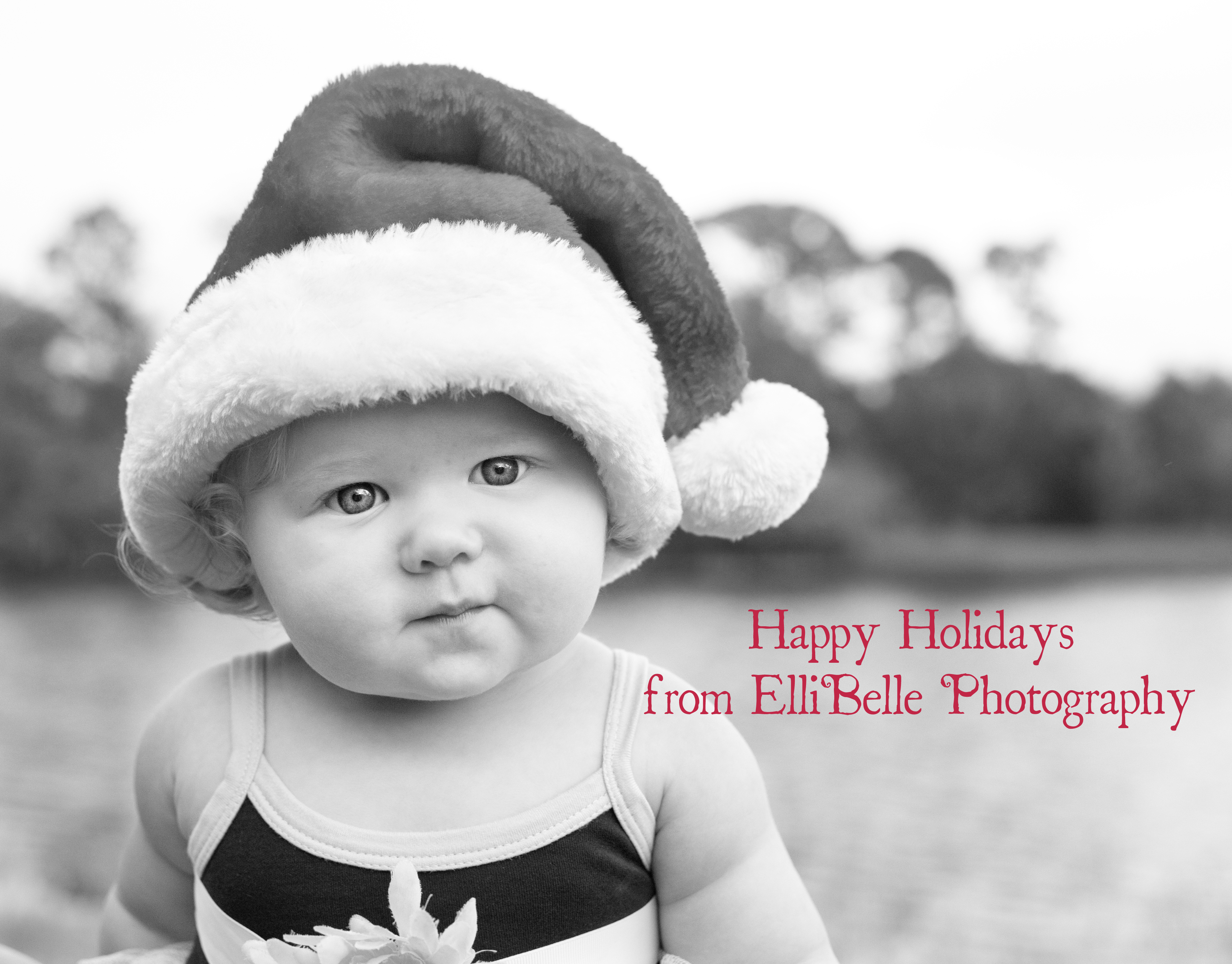 Elli-Belle Photography - Christmas Mini - 1