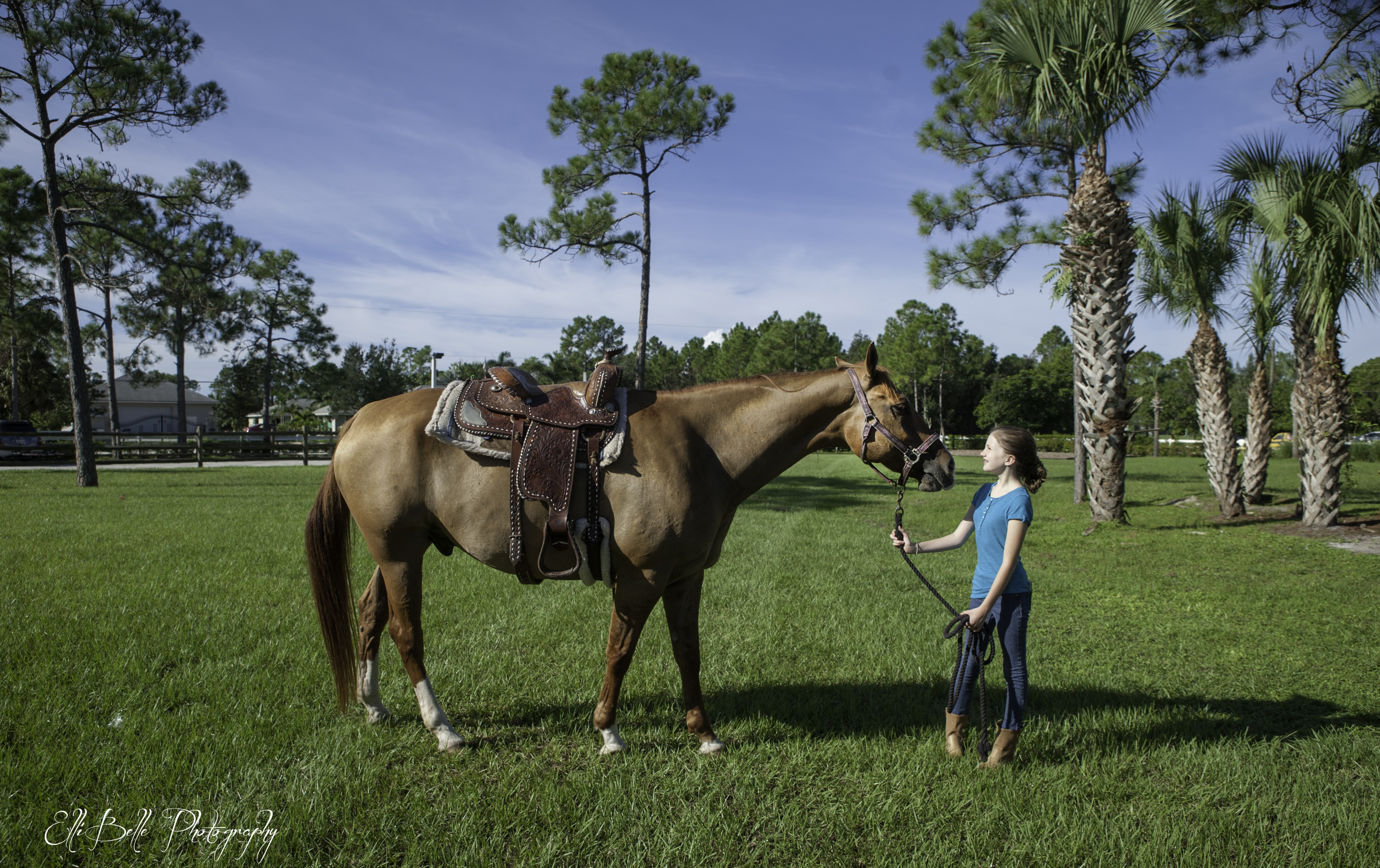 Horses that Help, Ellibelle Photography, Palm Beach County Photographer